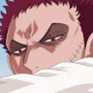 Meet your Posher, Benjamin